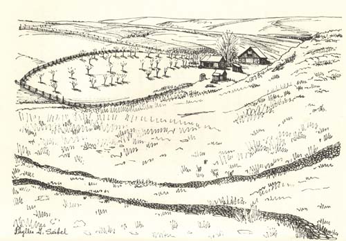 Spring Creek Map, Phyllis Seibel
